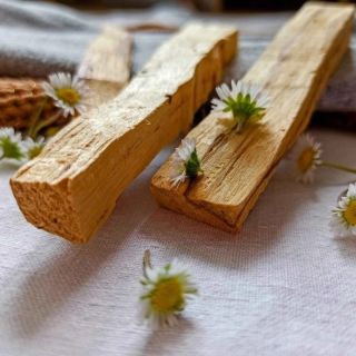 ✨ Palo Santo – svaté dřevo (20 g) Přivolej do svého prostoru klid, očistu a světlo. Palo Santo je dar z Amazonie, který...